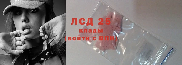 шишки Балахна