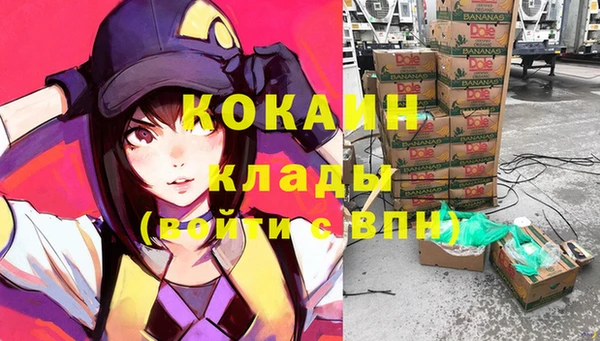 шишки Балахна
