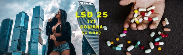 шишки Балахна